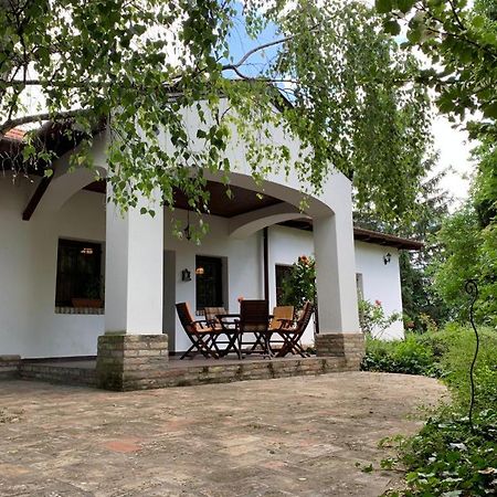 Bivaly Tanya Domaszék Exterior foto