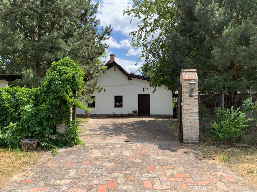 Bivaly Tanya Domaszék Exterior foto