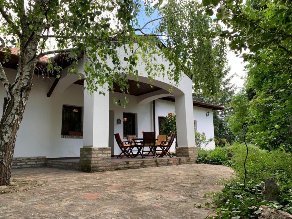 Bivaly Tanya Domaszék Exterior foto